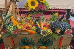 thumbnail_IMG_5443