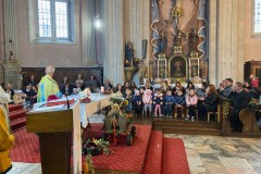 thumbnail_IMG_5405