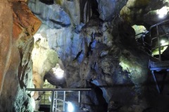 DSCN7756